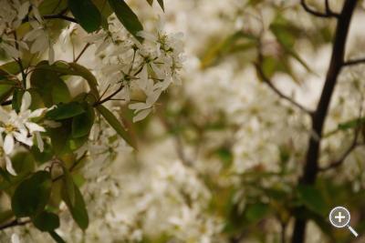 Klicka fÃ¶r stÃ¶rre