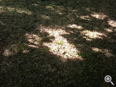 Klicka fÃ¶r stÃ¶rre