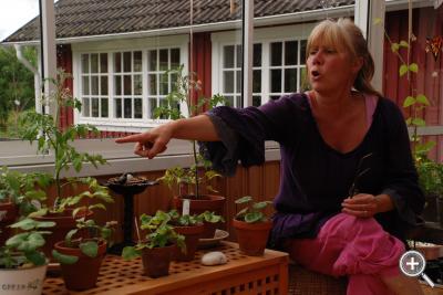 Klicka fÃ¶r stÃ¶rre