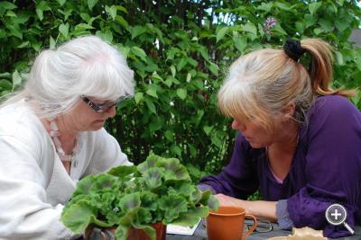 Klicka fÃ¶r stÃ¶rre