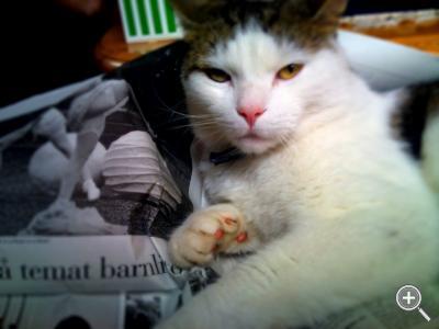 Klicka fÃ¶r stÃ¶rre