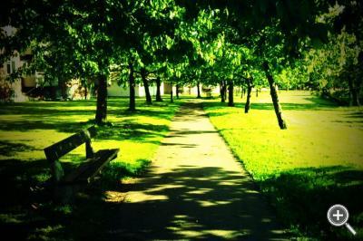 Klicka fÃ¶r stÃ¶rre