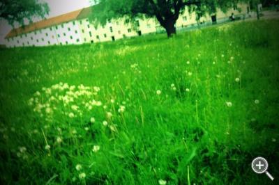 Klicka fÃ¶r stÃ¶rre