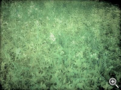 Klicka fÃ¶r stÃ¶rre