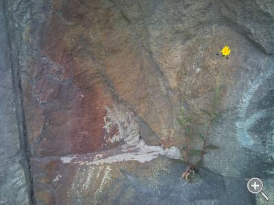 Klicka fÃ¶r stÃ¶rre