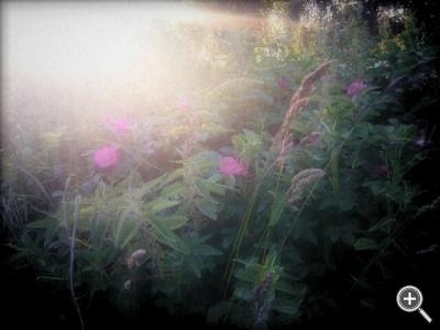 Klicka fÃ¶r stÃ¶rre