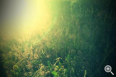 Klicka fÃ¶r stÃ¶rre