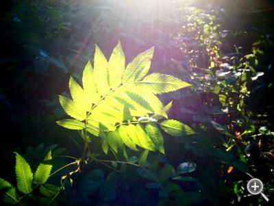 Klicka fÃ¶r stÃ¶rre