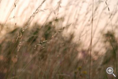Klicka fÃ¶r stÃ¶rre