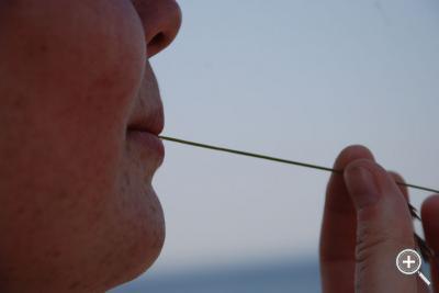 Klicka fÃ¶r stÃ¶rre