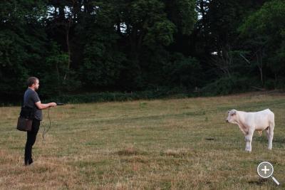 Klicka fÃ¶r stÃ¶rre