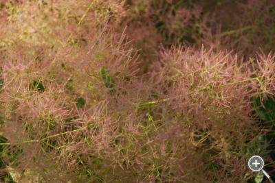 Klicka fÃ¶r stÃ¶rre