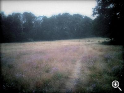 Klicka fÃ¶r stÃ¶rre