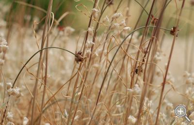 Klicka fÃ¶r stÃ¶rre