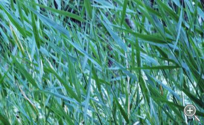 Klicka fÃ¶r stÃ¶rre