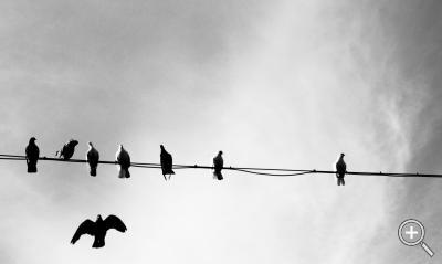 Klicka fÃ¶r stÃ¶rre