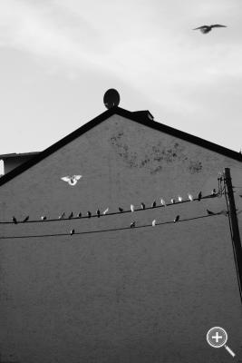 Klicka fÃ¶r stÃ¶rre