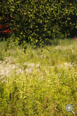 Klicka fÃ¶r stÃ¶rre