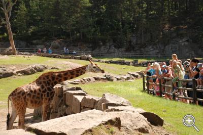 Klicka fÃ¶r stÃ¶rre