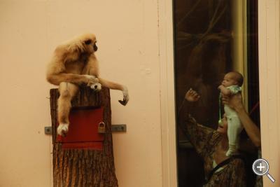 Klicka fÃ¶r stÃ¶rre