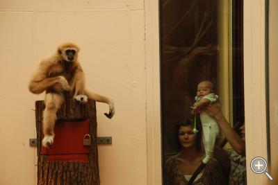 Klicka fÃ¶r stÃ¶rre