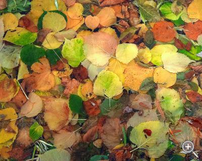 Klicka fÃ¶r stÃ¶rre