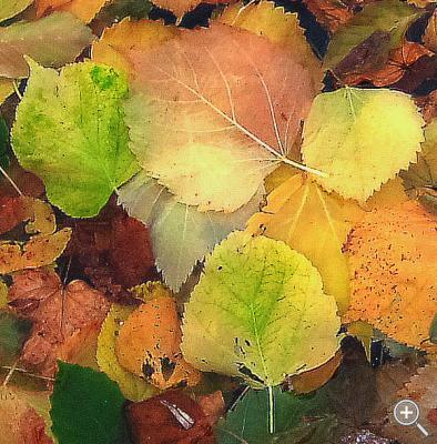 Klicka fÃ¶r stÃ¶rre