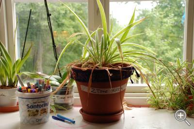 Klicka fÃ¶r stÃ¶rre