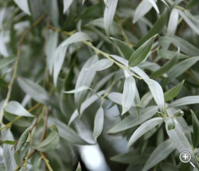 Klicka fÃ¶r stÃ¶rre