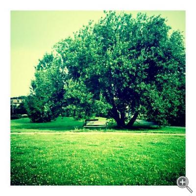 Klicka fÃ¶r stÃ¶rre