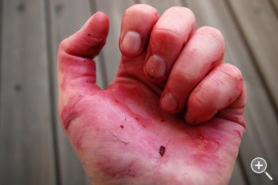 Klicka fÃ¶r stÃ¶rre