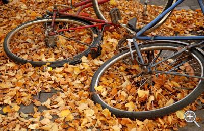 Klicka fÃ¶r stÃ¶rre