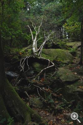 Klicka fÃ¶r stÃ¶rre