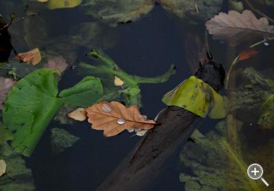 Klicka fÃ¶r stÃ¶rre