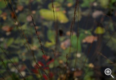 Klicka fÃ¶r stÃ¶rre