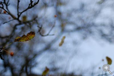 Klicka fÃ¶r stÃ¶rre