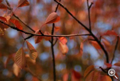 Klicka fÃ¶r stÃ¶rre