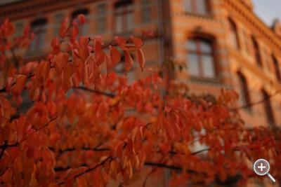 Klicka fÃ¶r stÃ¶rre