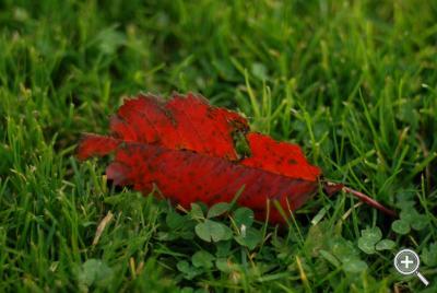 Klicka fÃ¶r stÃ¶rre