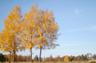 Klicka fÃ¶r stÃ¶rre