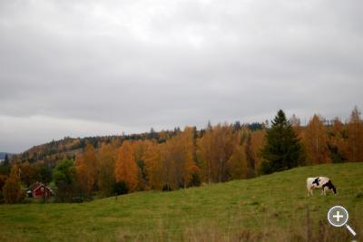 Klicka fÃ¶r stÃ¶rre