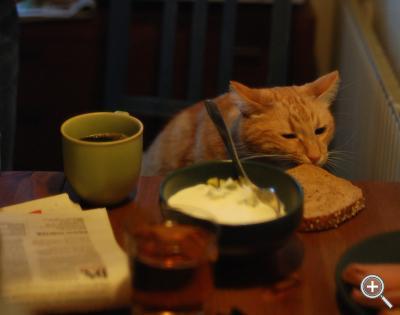 Klicka fÃ¶r stÃ¶rre