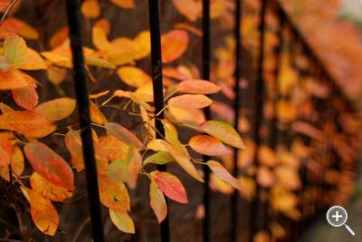 Klicka fÃ¶r stÃ¶rre