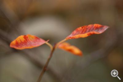Klicka fÃ¶r stÃ¶rre