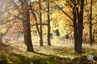 Klicka fÃ¶r stÃ¶rre