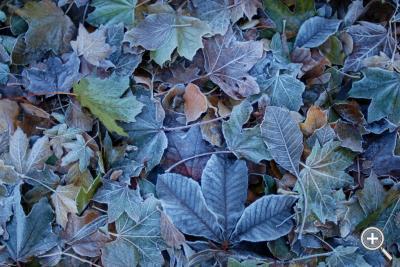 Klicka fÃ¶r stÃ¶rre