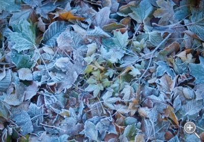 Klicka fÃ¶r stÃ¶rre