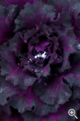 Klicka fÃ¶r stÃ¶rre