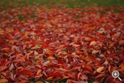 Klicka fÃ¶r stÃ¶rre