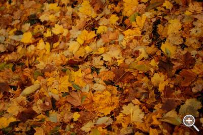 Klicka fÃ¶r stÃ¶rre